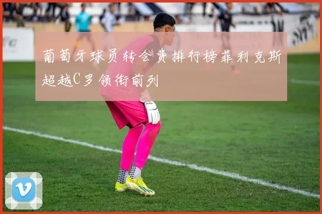 葡萄牙球员转会费排行榜菲利克斯超越C罗领衔前列